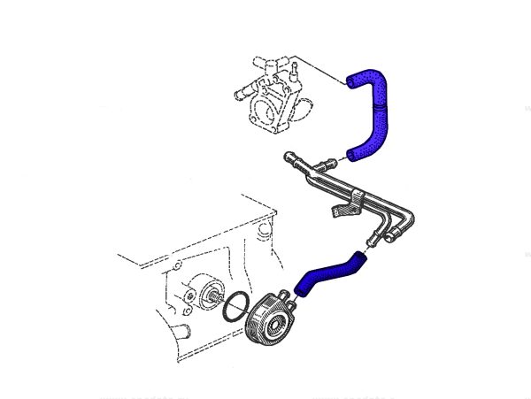 Kit silicona Renault Clio 16V / Williams - Imagen 4